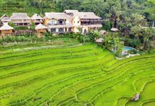 Cảnh đẹp hút mắt ở ‘thiên đường giữa đại ngàn’ của xứ Thanh