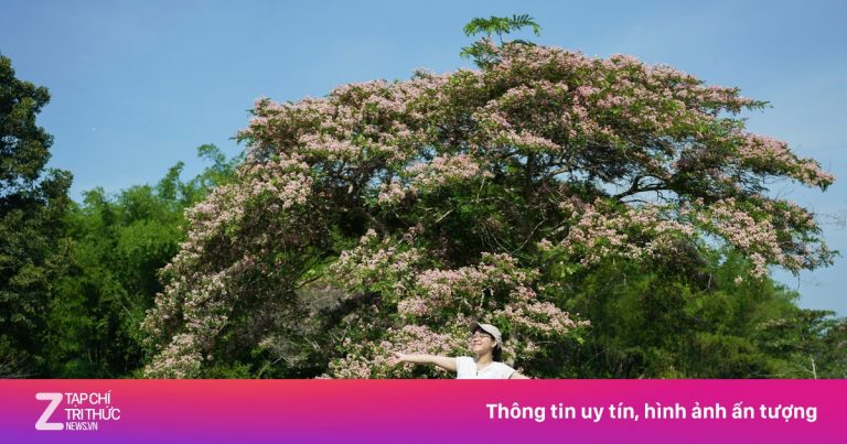 Hạ tầng không theo kịp khi VQG Cát Tiên hút khách Hạ tầng không theo kịp khi VQG Cát Tiên hút khách