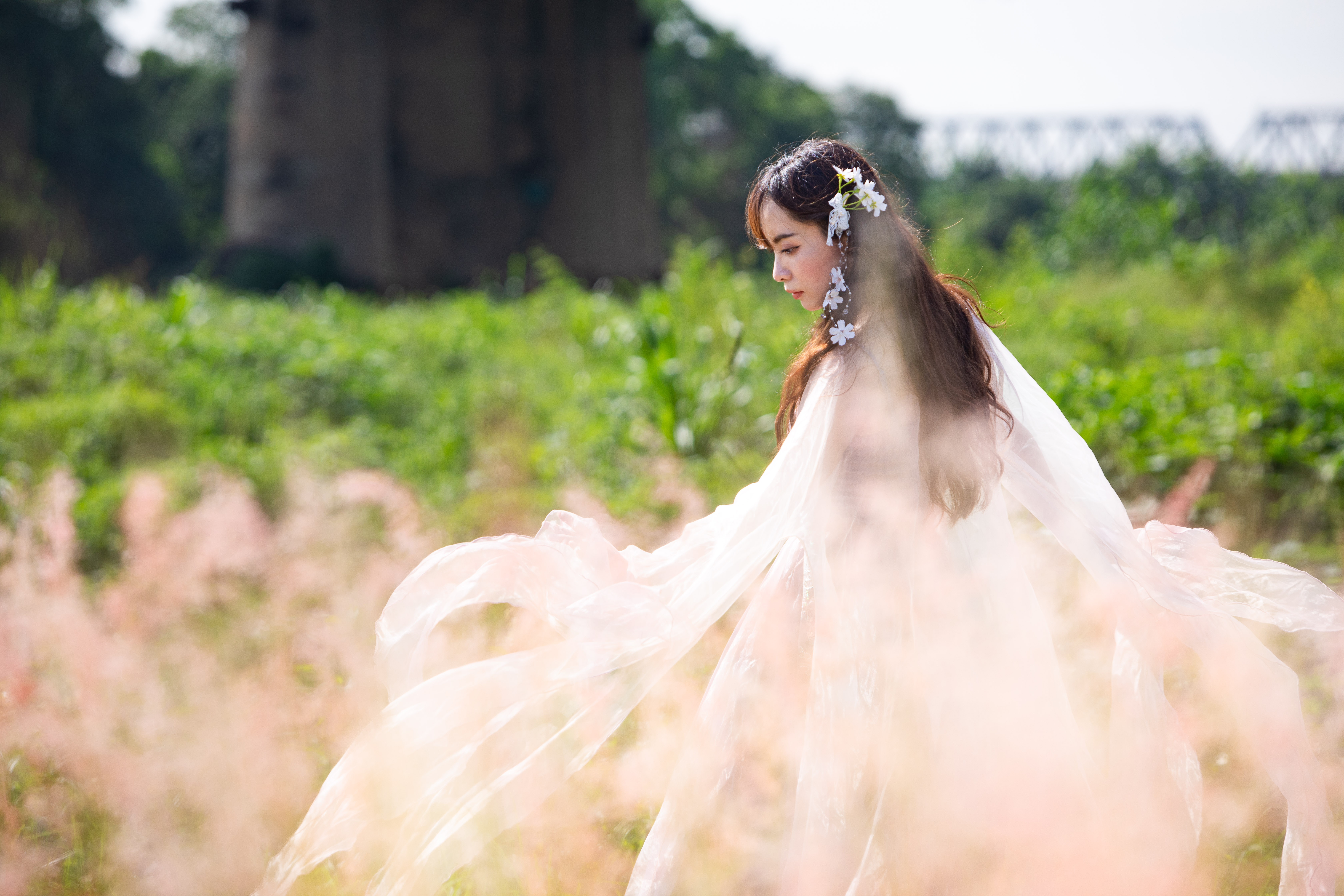 co hong cau long bien anh 3