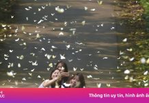 Cúc Phương lại nhộn nhịp mùa ‘săn’ bướm