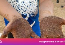 Dầu vón cục dính đầy người tắm biển ở Phú Yên