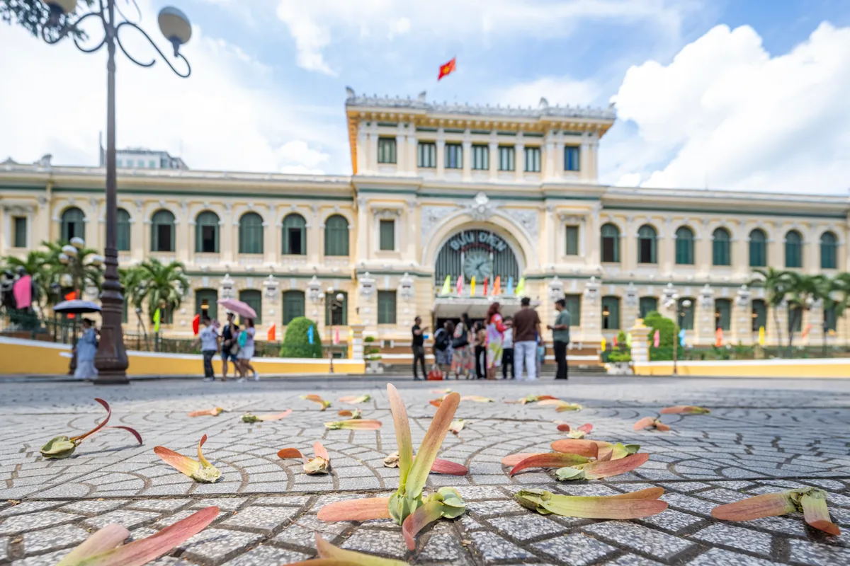 Mùa hoa dầu bay - ký ức trên những con đường Sài Gòn xưa. - Ảnh 3.