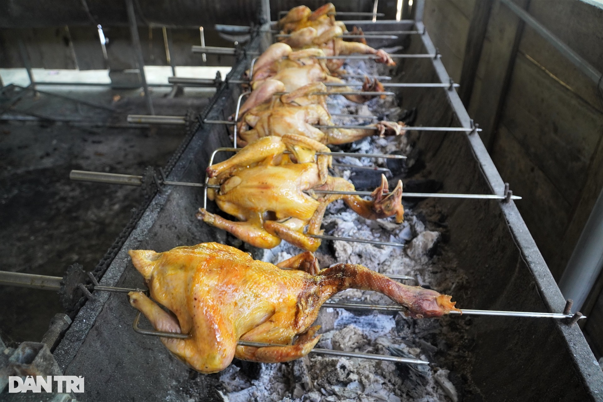 Hàng nghìn người rủ nhau lên rừng trốn nóng trong kỳ nghỉ lễ - 9