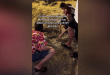 Gia đình 3 thế hệ đi du lịch Thanh Hóa, gặp sự cố ‘dở khóc dở cười’ ở bãi biển