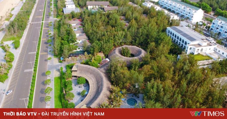 Rừng dương nơi phố biển