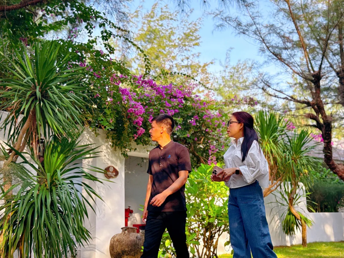 Rừng dương nơi phố biển - Ảnh 3.