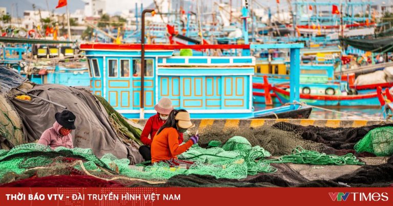 Nhịp sống yên ả nơi làng lưới Cửa Bé