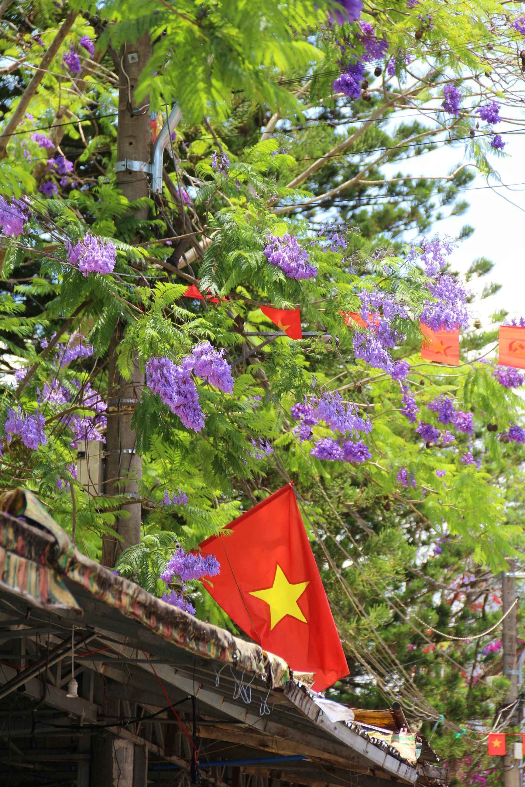 da lat le 30/4 anh 1