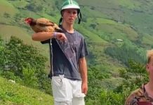 Khách Tây chi 160.000 đồng mua gà ở Hà Giang, cho ngủ cùng như thú cưng