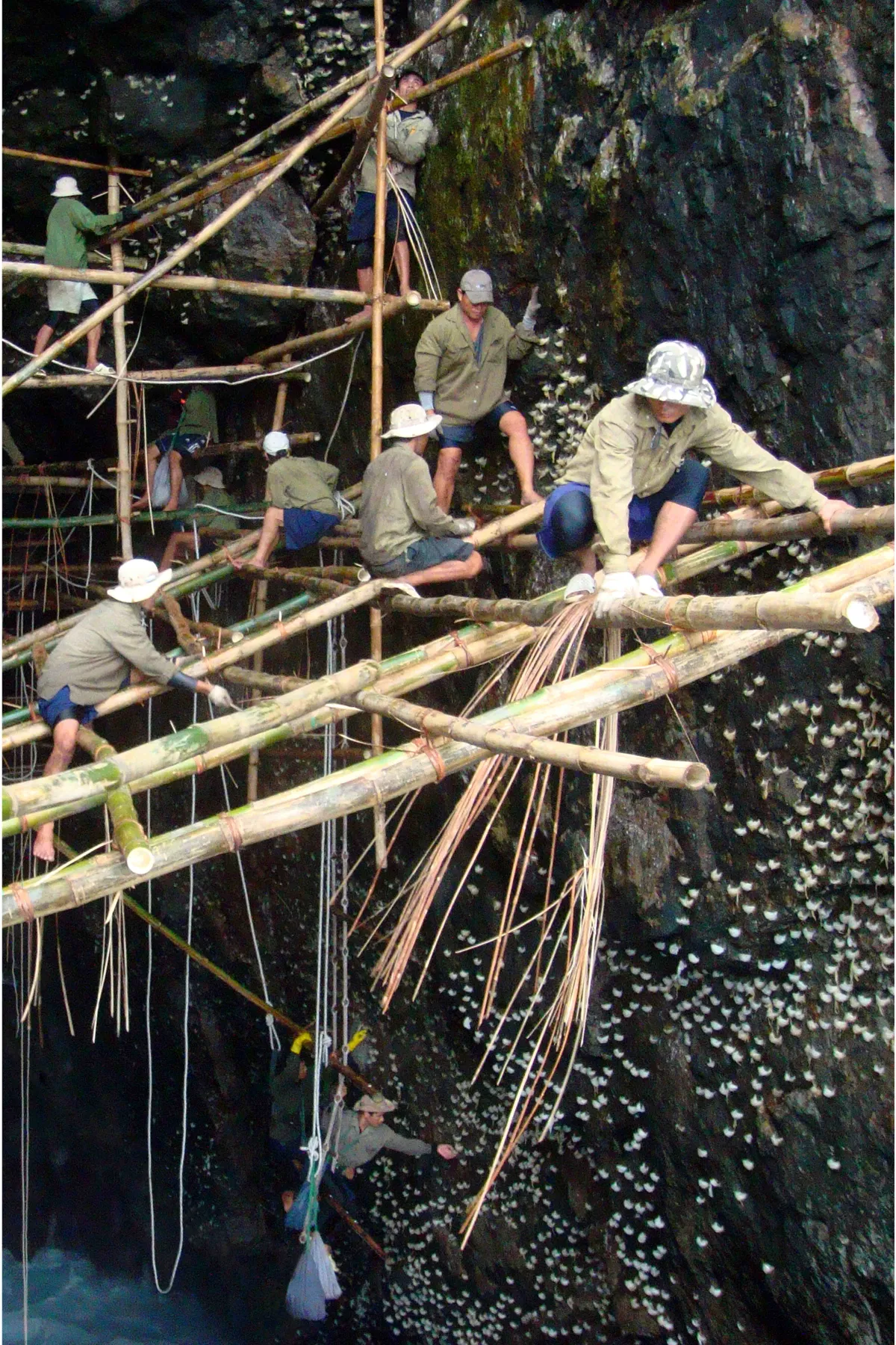Chạm vào tinh hoa ẩm thực Khánh Hòa. - Ảnh 1.