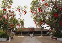 Ngôi chùa cổ ở ngoại ô Hà Nội sở hữu nhiều ‘báu vật’, có cả địa đạo chắc chắn