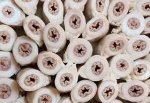 Trung Quốc có món lòng xe điếu hay không?