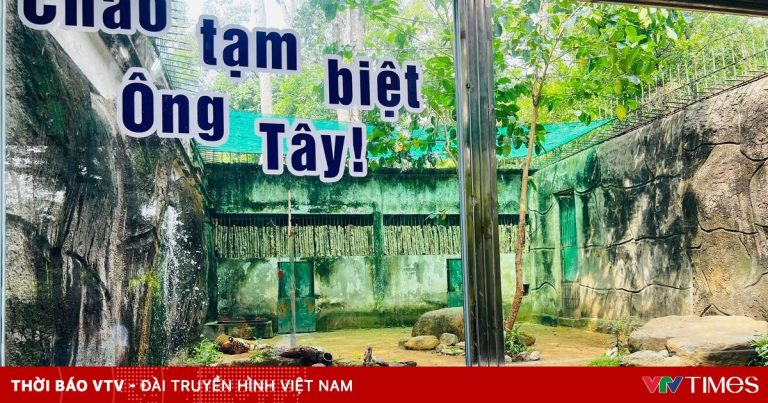 Xúc động lễ chia tay “ông” hổ Tây ở Thảo Cầm Viên Sài Gòn Xúc động lễ chia tay “ông” hổ Tây ở Thảo Cầm Viên Sài Gòn