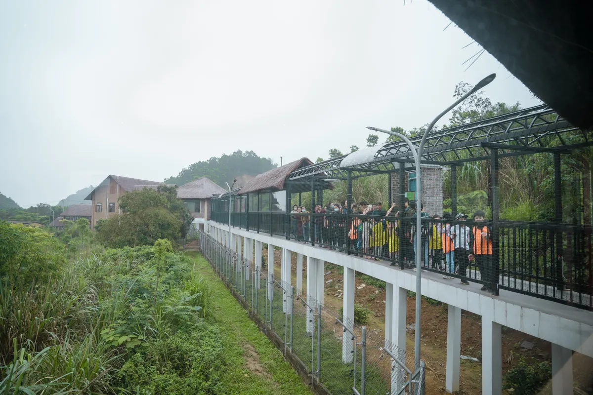 Du lịch gắn với bảo tồn động vật hoang dã - Ảnh 2.