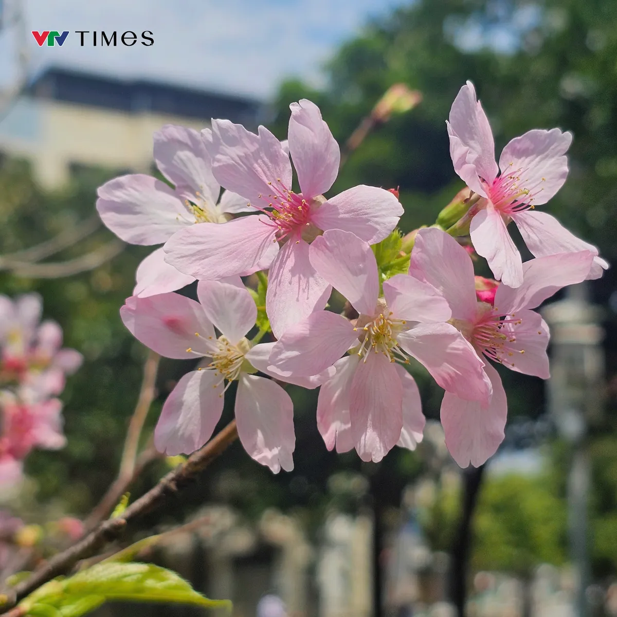 5 điều không thể bỏ lỡ khi đến Đài Bắc (Đài Loan, Trung Quốc) - Ảnh 9.