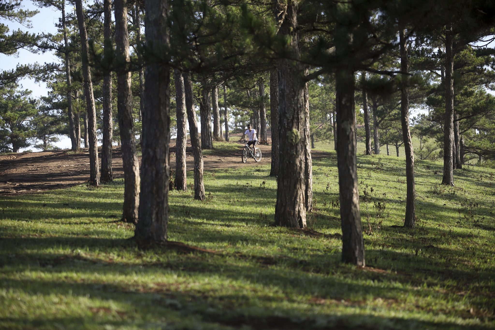 khach quoc te Da Lat anh 5