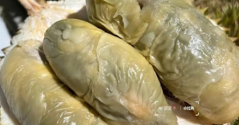 Sầu riêng nhìn như nhũn chảy nước mốc xanh, bán giá sốc 700.000 đồng/kg Sầu riêng nhìn như nhũn chảy nước mốc xanh, bán giá sốc 700.000 đồng/kg