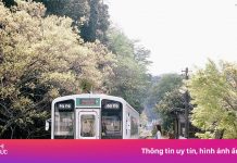 Du lịch nhà ga, xe buýt bỏ hoang ở Nhật Bản