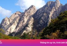 ‘Đau đầu’ bảo tồn di sản chung Triều Tiên – Hàn Quốc