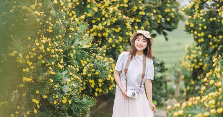 Vườn xương rồng ‘có một không hai’ ở Mộc Châu, nở hoa chi chít, hút khách thăm Vườn xương rồng ‘có một không hai’ ở Mộc Châu, nở hoa chi chít, hút khách thăm