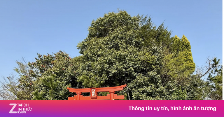 Ngọn núi chỉ mất 12 giây để lên đỉnh ở Nhật Bản Ngọn núi chỉ mất 12 giây để lên đỉnh ở Nhật Bản