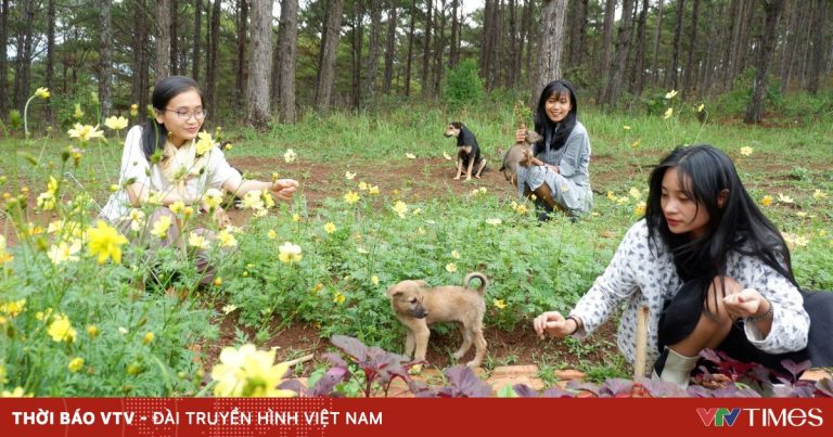 Những cô gái bỏ phố về rừng: Gieo mầm xanh từ những giấc mơ lành Những cô gái bỏ phố về rừng: Gieo mầm xanh từ những giấc mơ lành