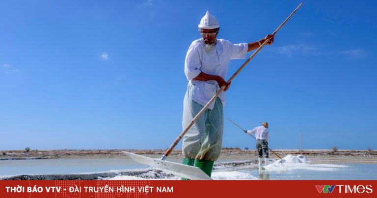 Khi vị mặn làm nên bản sắc Khi vị mặn làm nên bản sắc