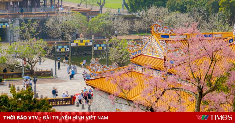Việt Nam xếp thứ 7 về tăng trưởng điểm đến du lịch Việt Nam xếp thứ 7 về tăng trưởng điểm đến du lịch