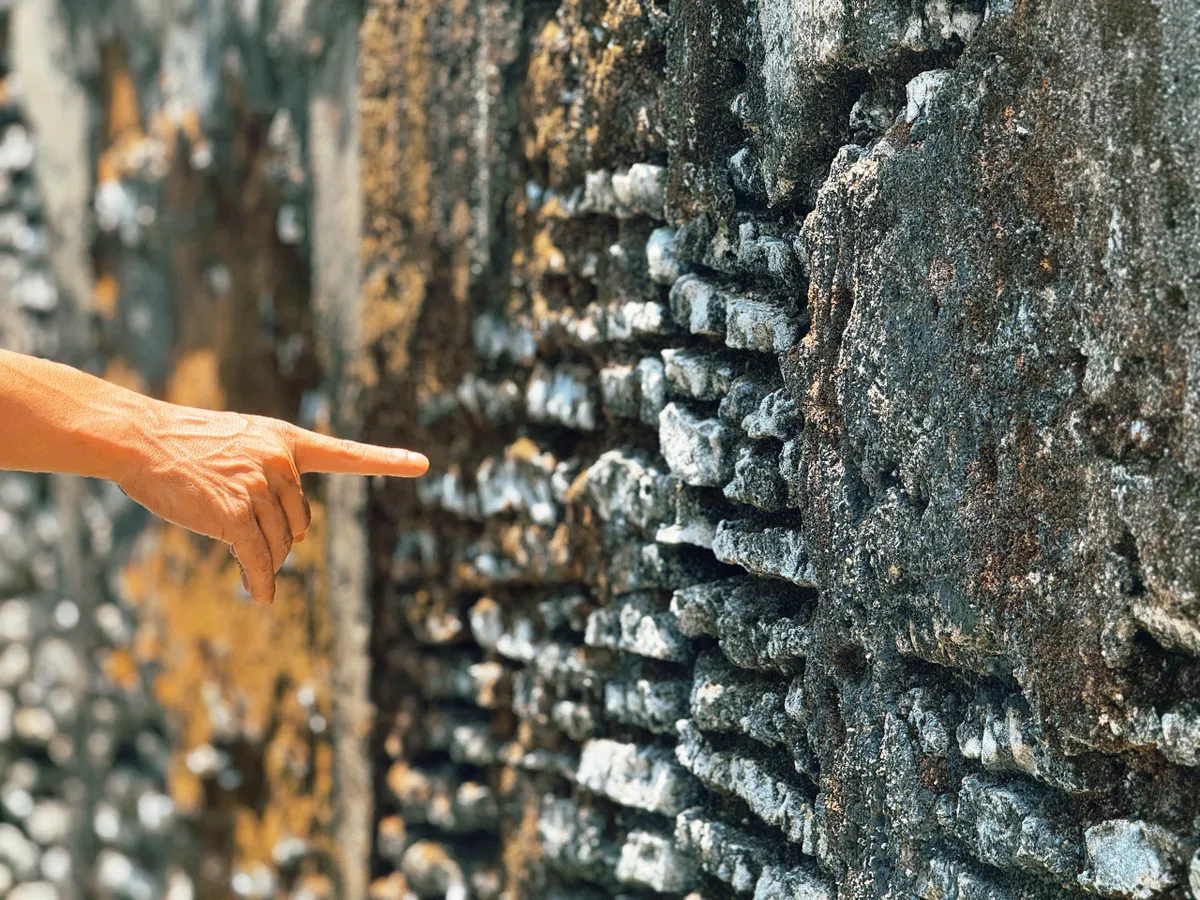 Độc đáo nhà san hô. - Ảnh 2.