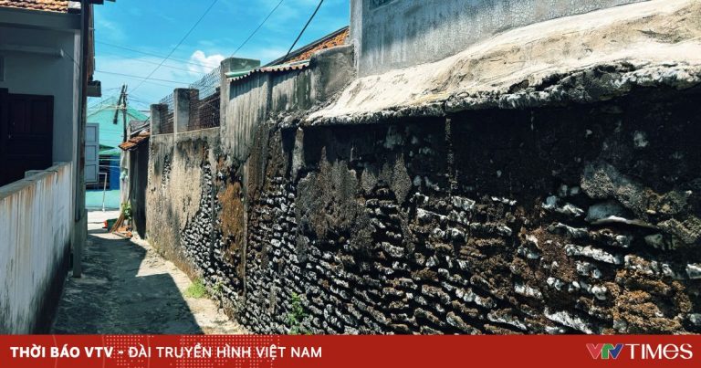 Độc đáo nhà san hô