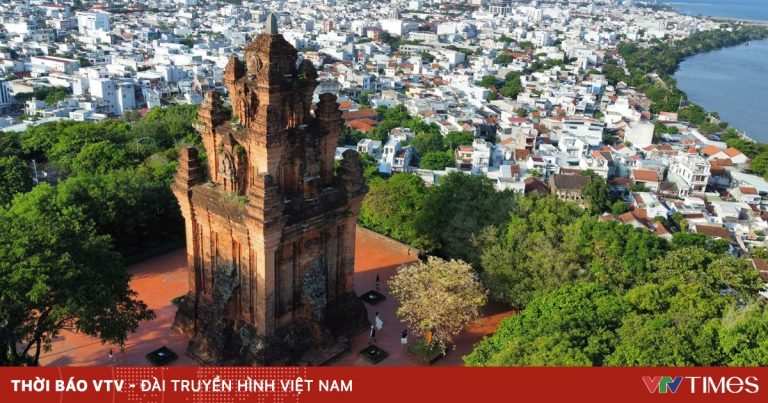 Dáng hoa bên chân tháp cổ Núi Nhạn