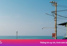 Sống như người bản địa ở làng chài Quy Nhơn mùa đẹp nhất năm