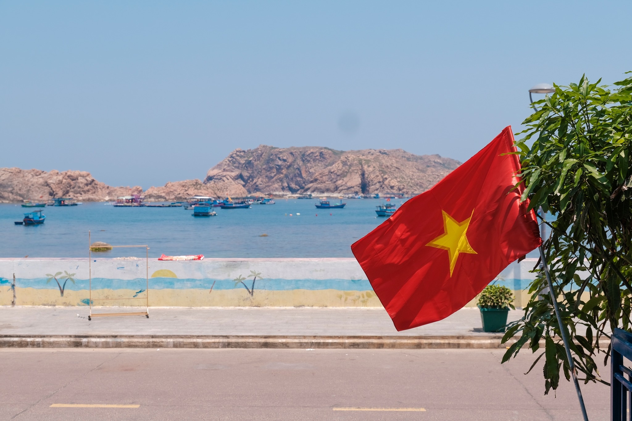 du lich Quy Nhon anh 14