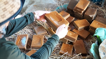 Nghề làm đường mía thủ công đỏ lửa Nghề làm đường mía thủ công đỏ lửa