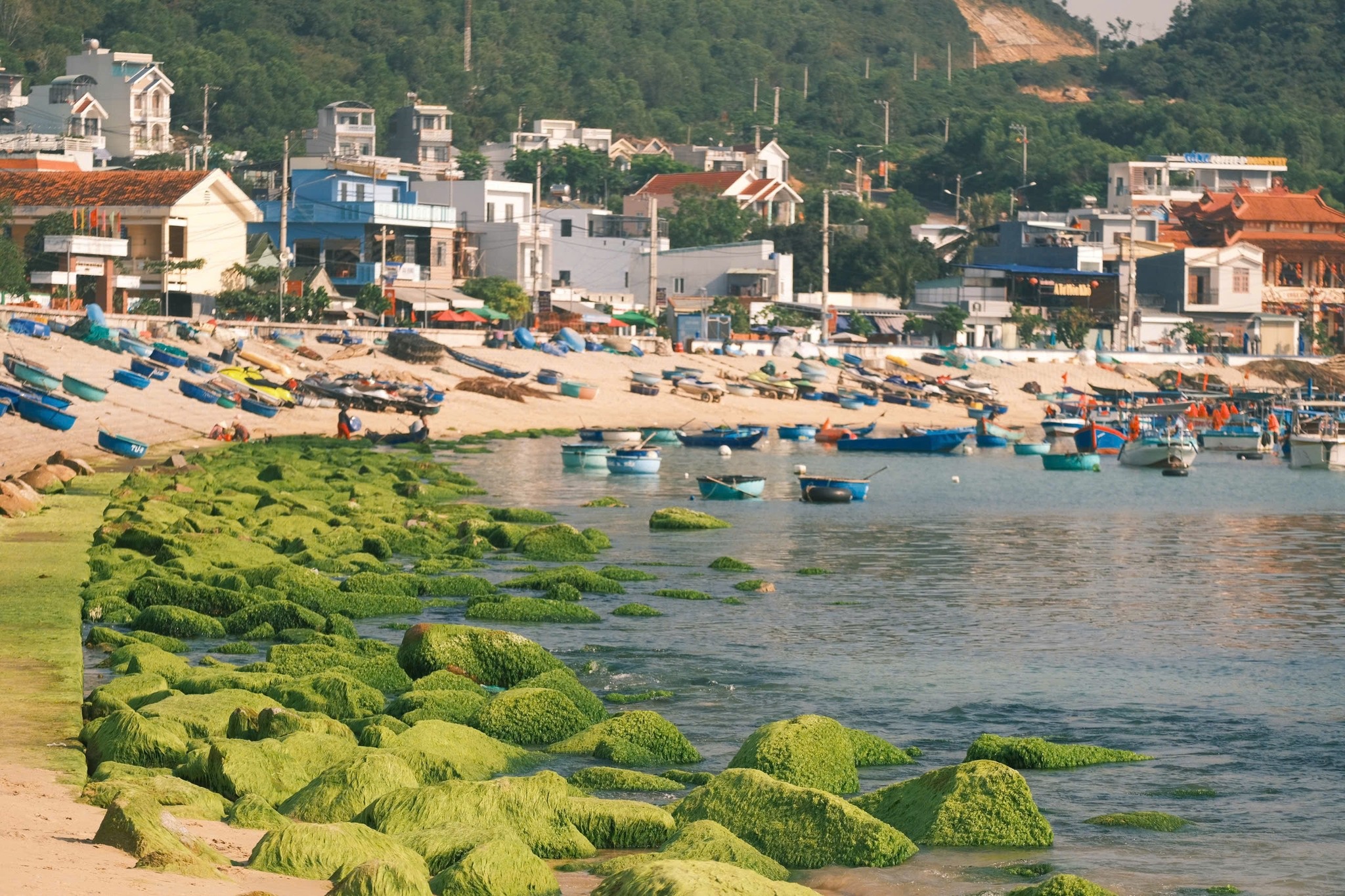 du lich Quy Nhon anh 8