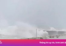 Hơn 100 du khách mắc kẹt trên đảo Lý Sơn do bão số 1