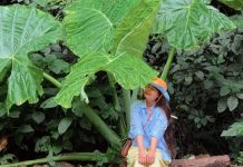 2 ngày 1 đêm “chữa lành” ở Ninh Bình: Khách bất ngờ vì cảnh đẹp, đồ ăn ngon