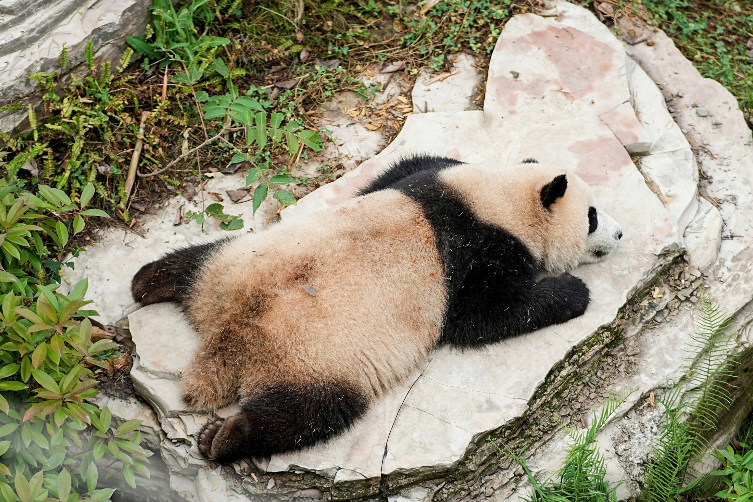 Du lich Trung Quoc anh 1