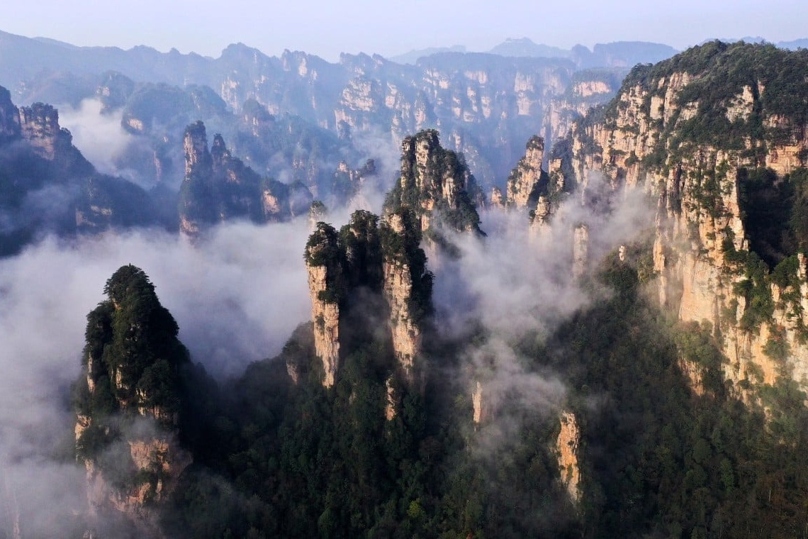 Truong Gia Gioi anh 1