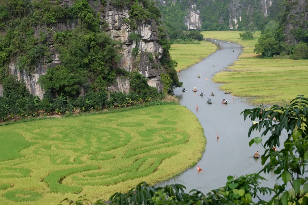 Tháng 6 về Tam Cốc: Dạo thuyền ngắm lúa vàng, nghe hồn quê vọng lại - Ảnh 8.