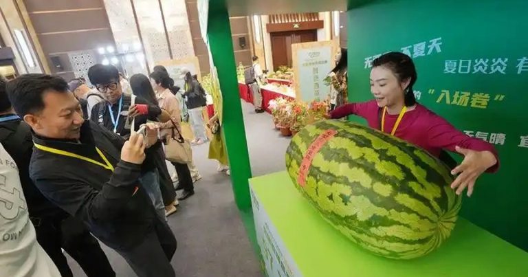 Chiêm ngưỡng trái dưa hấu nặng gần 100kg gây sửng sốt Chiêm ngưỡng trái dưa hấu nặng gần 100kg gây sửng sốt