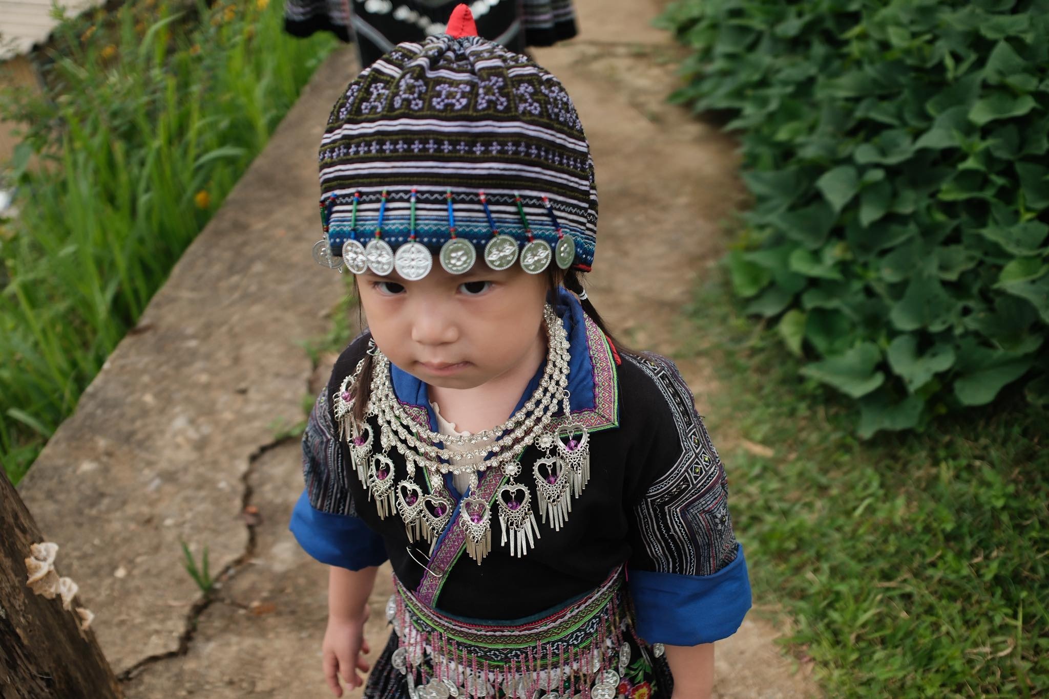 Pam Yeu Oi anh 5
