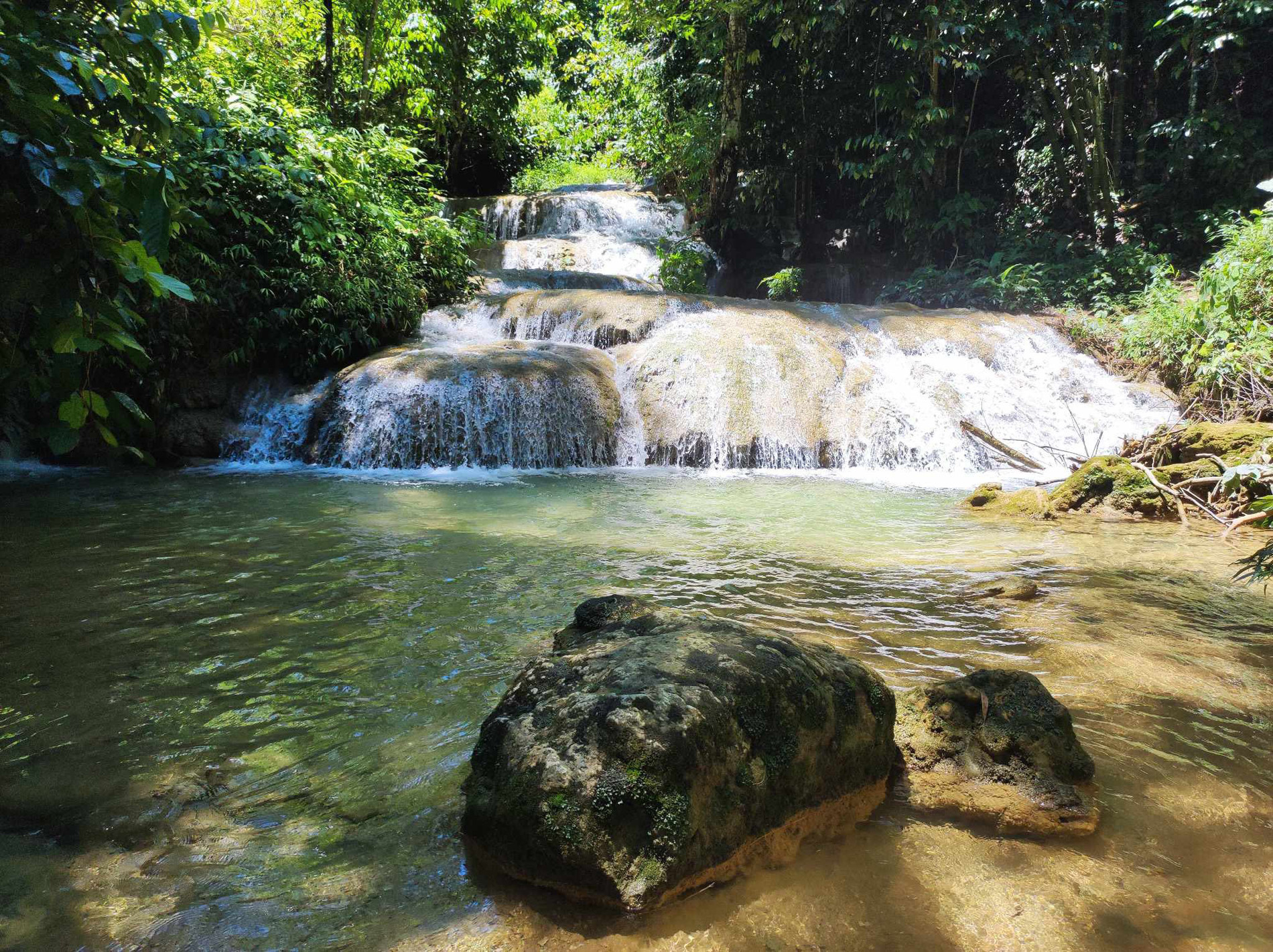 hồng huế.jpg