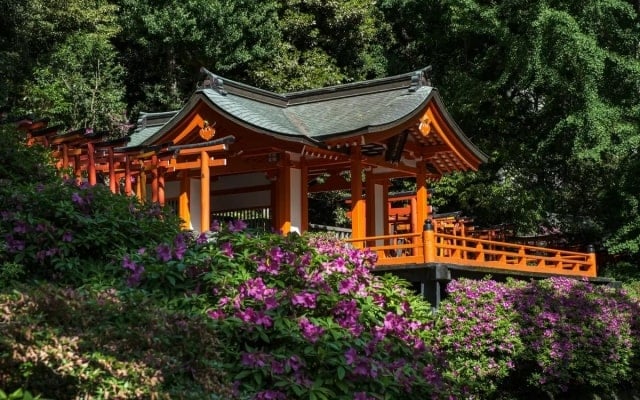 Vẻ đẹp của đền Nezu – “viên ngọc quý” nằm giữa lòng Tokyo Nhật Bản Vẻ đẹp của đền Nezu – “viên ngọc quý” nằm giữa lòng Tokyo Nhật Bản
