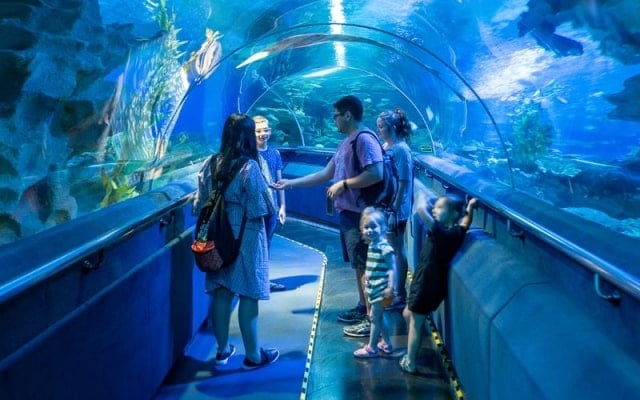 Hành trình khám phá thế giới đại dương tại thủy cung Aquaria KLCC Malaysia Hành trình khám phá thế giới đại dương tại thủy cung Aquaria KLCC Malaysia