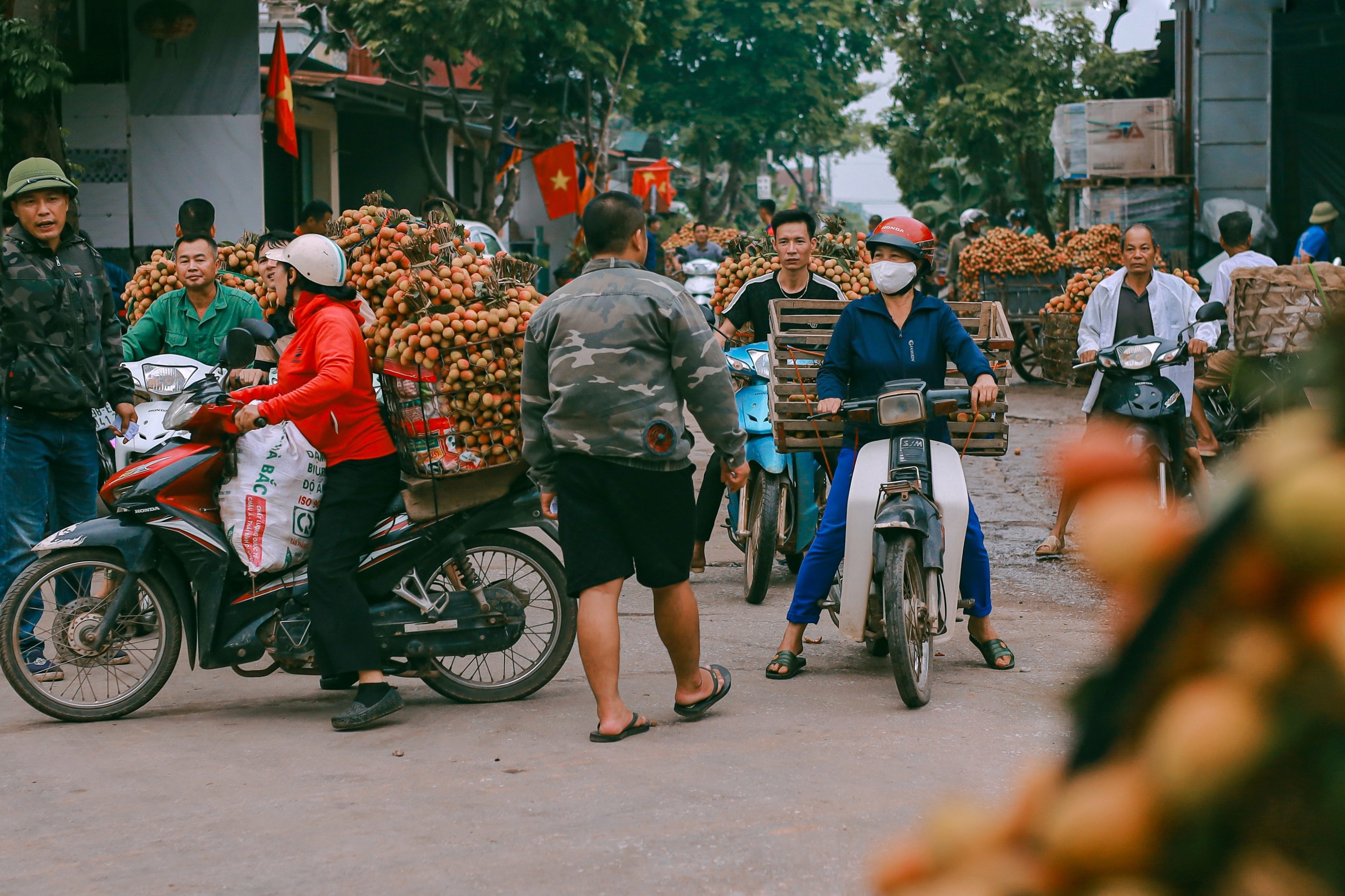 mua vai Bac Giang anh 12