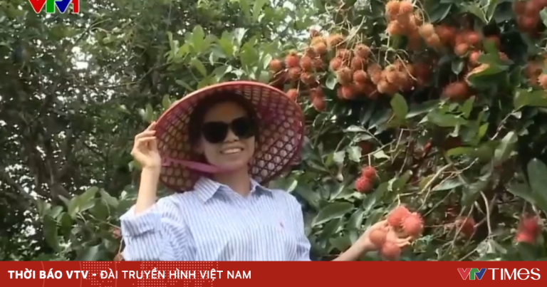 Nhà vườn vào mùa du lịch Nhà vườn vào mùa du lịch