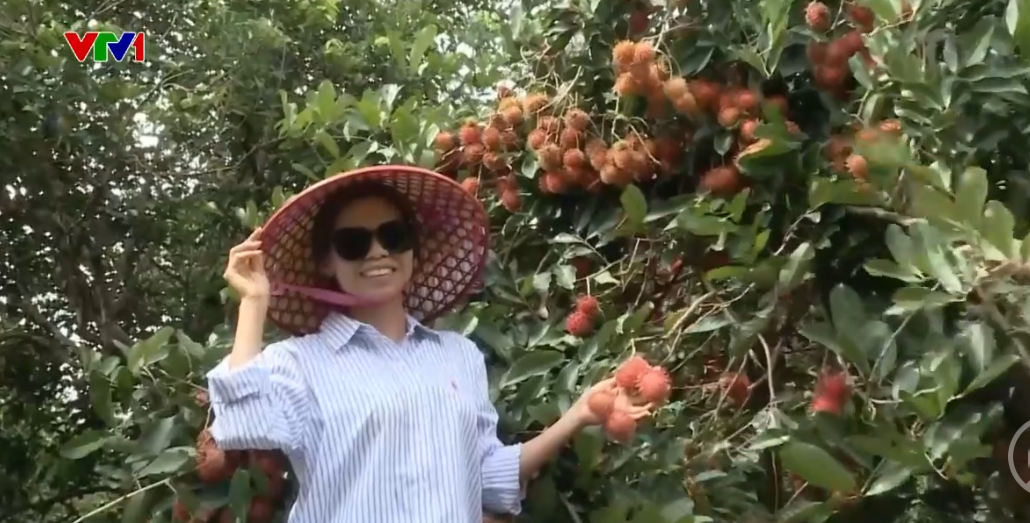 Nhà vườn vào mùa du lịch - Ảnh 1.