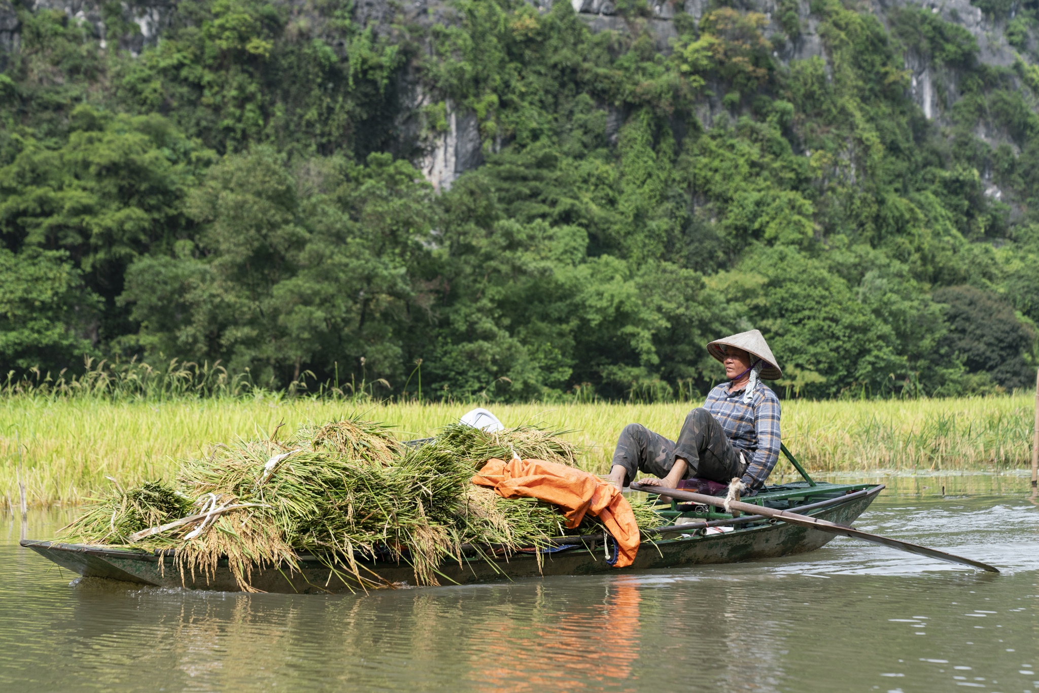 Ninh Binh mua vang anh 6