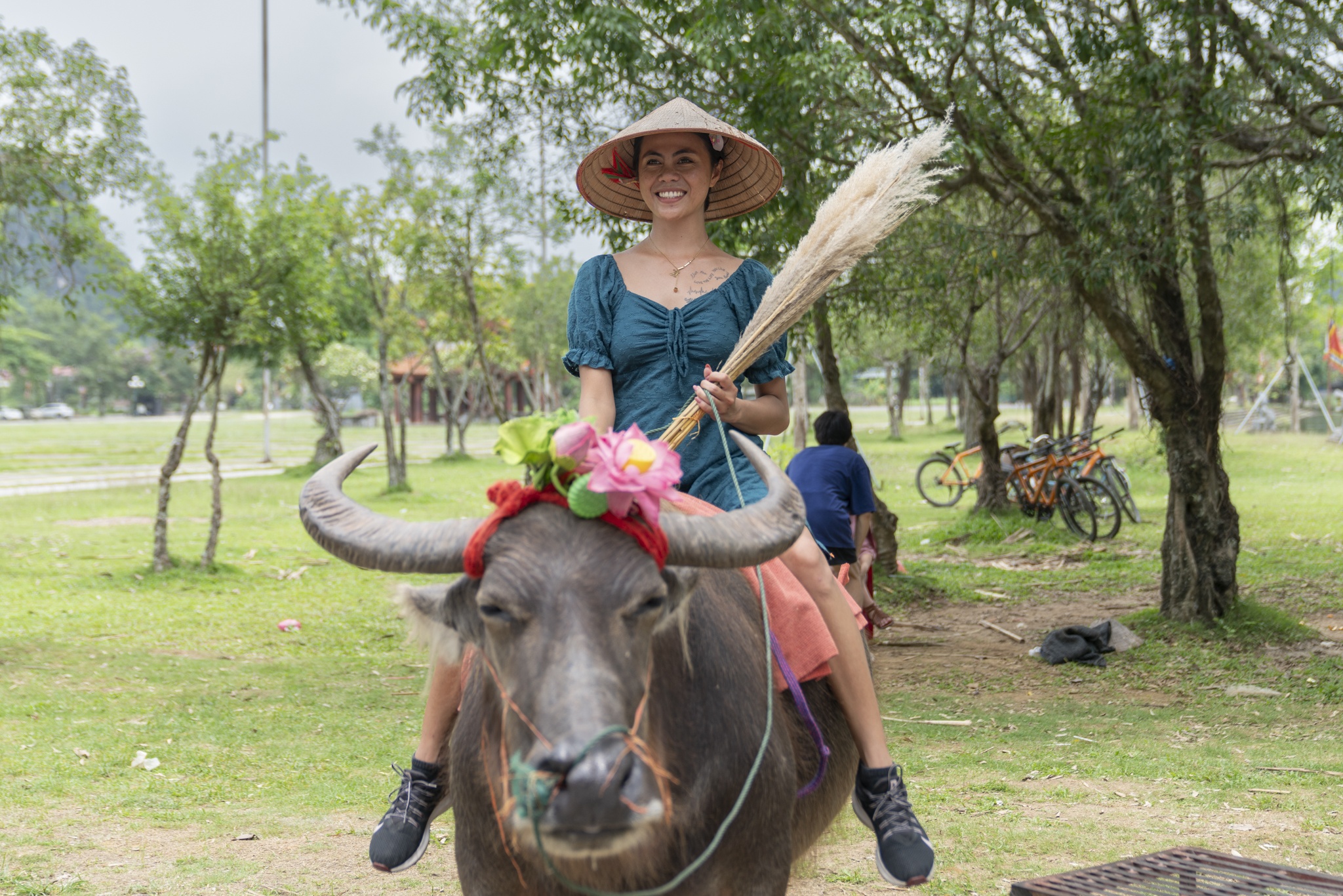 Ninh Binh mua vang anh 12